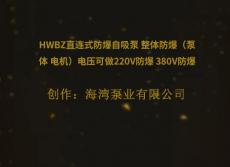 HWBZ直连式防爆自吸泵 整体防爆（泵体 电机）电压可做220V防爆 380V防爆